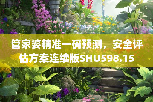 管家婆精准一码预测，安全评估方案连续版SHU598.15