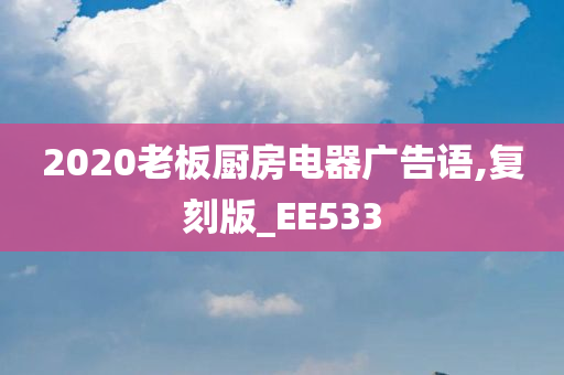 2020老板厨房电器广告语,复刻版_EE533