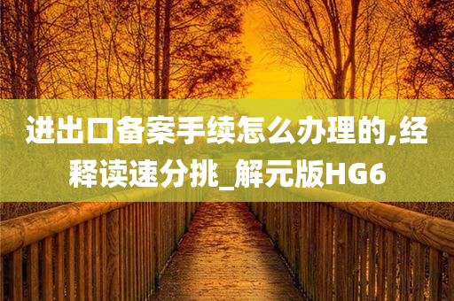 进出口备案手续怎么办理的,经释读速分挑_解元版HG6