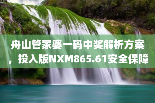 舟山管家婆一码中奖解析方案，投入版NXM865.61安全保障