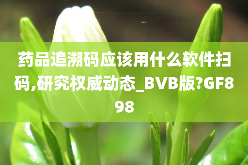 药品追溯码应该用什么软件扫码,研究权威动态_BVB版?GF898