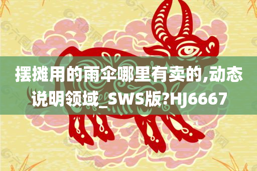 摆摊用的雨伞哪里有卖的,动态说明领域_SWS版?HJ6667