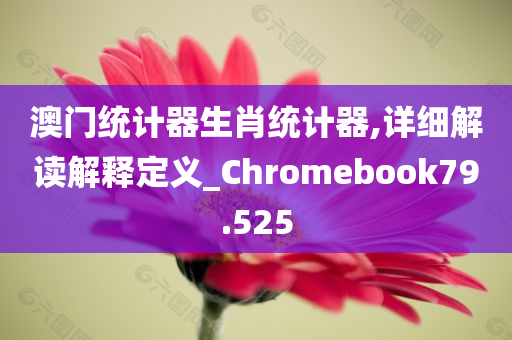 澳门统计器生肖统计器,详细解读解释定义_Chromebook79.525