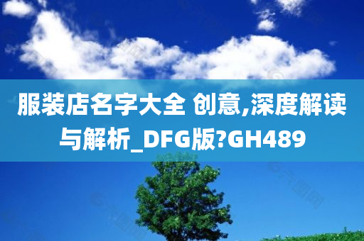 服装店名字大全 创意,深度解读与解析_DFG版?GH489