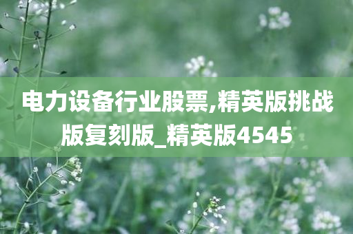 电力设备行业股票,精英版挑战版复刻版_精英版4545