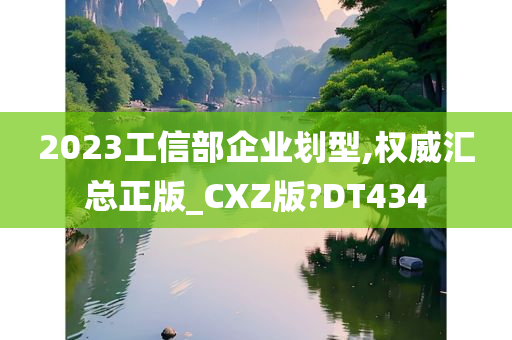 2023工信部企业划型,权威汇总正版_CXZ版?DT434