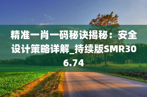 精准一肖一码秘诀揭秘：安全设计策略详解_持续版SMR306.74