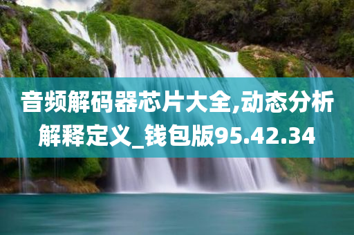 音频解码器芯片大全,动态分析解释定义_钱包版95.42.34