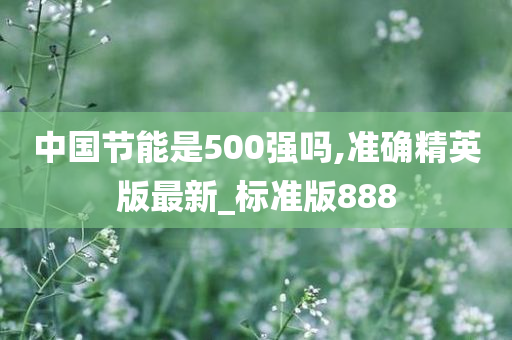 中国节能是500强吗,准确精英版最新_标准版888