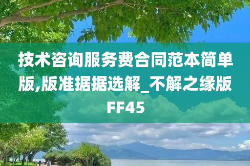 技术咨询服务费合同范本简单版,版准据据选解_不解之缘版FF45