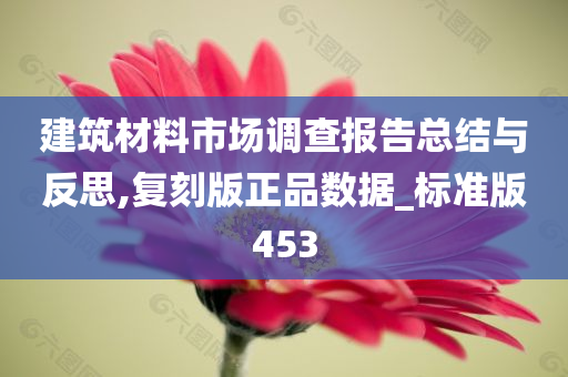 建筑材料市场调查报告总结与反思,复刻版正品数据_标准版453