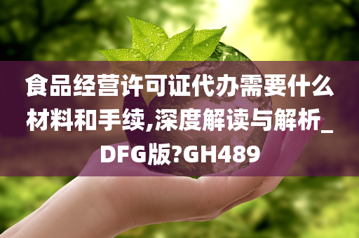 食品经营许可证代办需要什么材料和手续,深度解读与解析_DFG版?GH489