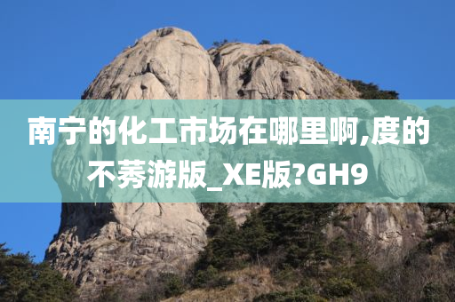 南宁的化工市场在哪里啊,度的不莠游版_XE版?GH9