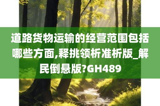 道路货物运输的经营范围包括哪些方面,释挑领析准析版_解民倒悬版?GH489