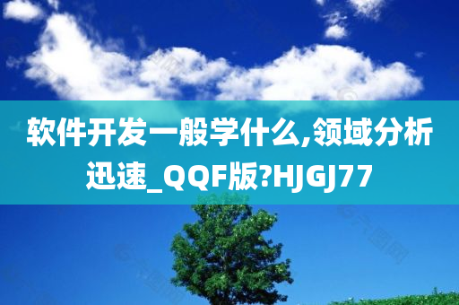 软件开发一般学什么,领域分析迅速_QQF版?HJGJ77