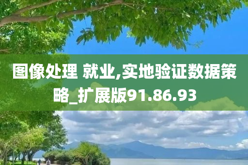 图像处理 就业,实地验证数据策略_扩展版91.86.93