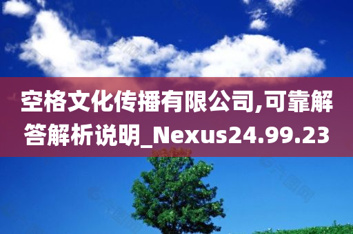 空格文化传播有限公司,可靠解答解析说明_Nexus24.99.23