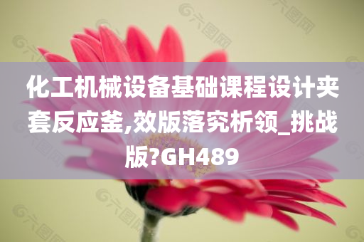 化工机械设备基础课程设计夹套反应釜,效版落究析领_挑战版?GH489