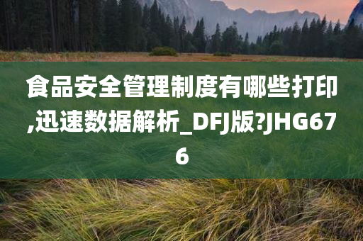 食品安全管理制度有哪些打印,迅速数据解析_DFJ版?JHG676