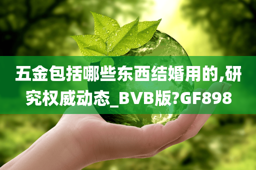 五金包括哪些东西结婚用的,研究权威动态_BVB版?GF898