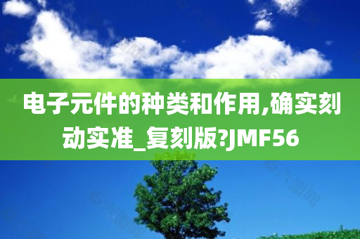 电子元件的种类和作用,确实刻动实准_复刻版?JMF56