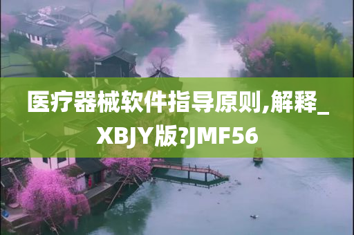 医疗器械软件指导原则,解释_XBJY版?JMF56