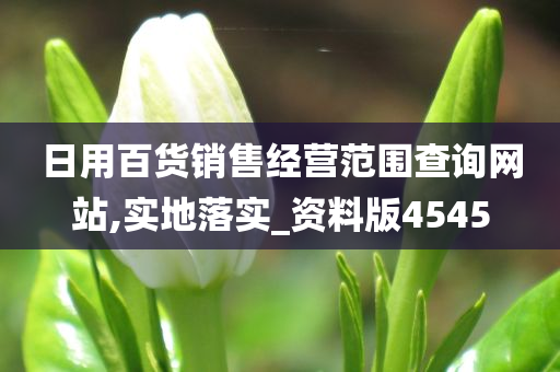 日用百货销售经营范围查询网站,实地落实_资料版4545