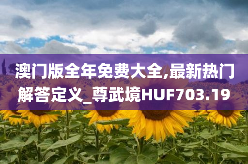 澳门版全年免费大全,最新热门解答定义_尊武境HUF703.19