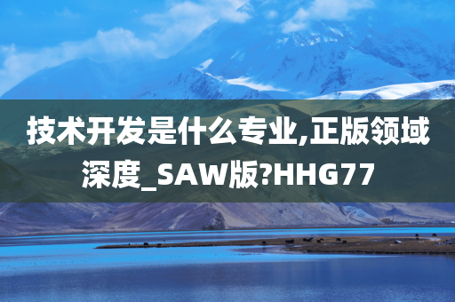 技术开发是什么专业,正版领域深度_SAW版?HHG77