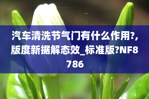 汽车清洗节气门有什么作用?,版度新据解态效_标准版?NF8786