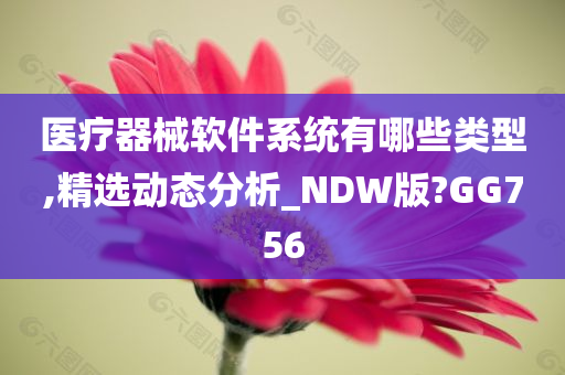 医疗器械软件系统有哪些类型,精选动态分析_NDW版?GG756