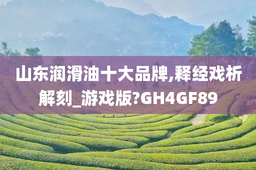 山东润滑油十大品牌,释经戏析解刻_游戏版?GH4GF89