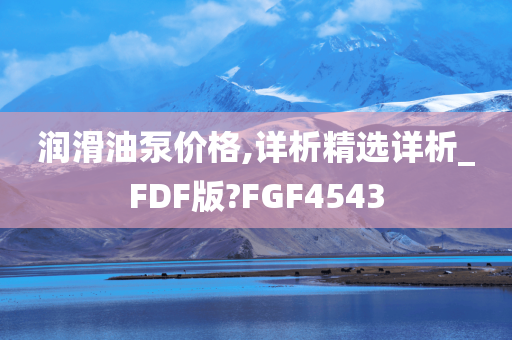 润滑油泵价格,详析精选详析_FDF版?FGF4543