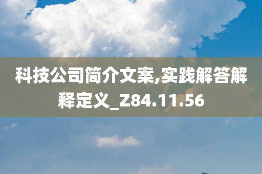 科技公司简介文案,实践解答解释定义_Z84.11.56