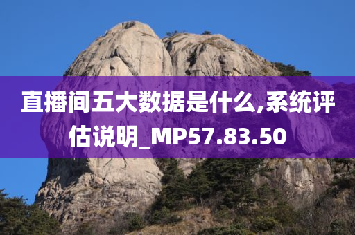 直播间五大数据是什么,系统评估说明_MP57.83.50