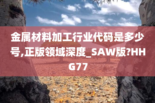 金属材料加工行业代码是多少号,正版领域深度_SAW版?HHG77