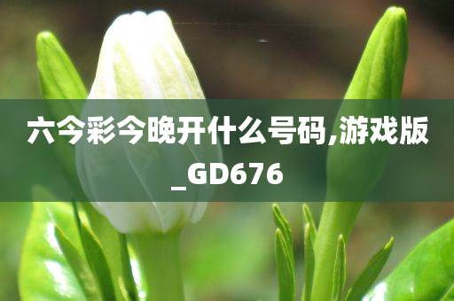 六今彩今晚开什么号码,游戏版_GD676