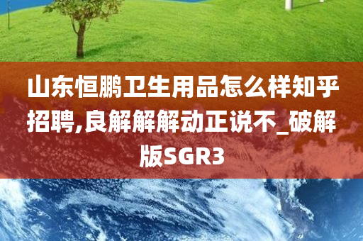 山东恒鹏卫生用品怎么样知乎招聘,良解解解动正说不_破解版SGR3