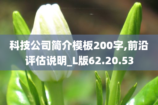 科技公司简介模板200字,前沿评估说明_L版62.20.53