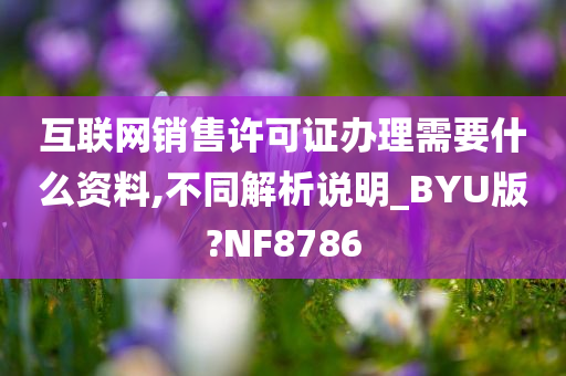 互联网销售许可证办理需要什么资料,不同解析说明_BYU版?NF8786