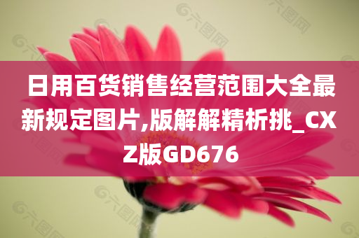 日用百货销售经营范围大全最新规定图片,版解解精析挑_CXZ版GD676