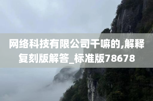 网络科技有限公司干嘛的,解释复刻版解答_标准版78678