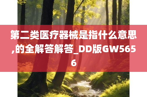 第二类医疗器械是指什么意思,的全解答解答_DD版GW5656