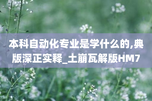 本科自动化专业是学什么的,典版深正实释_土崩瓦解版HM7