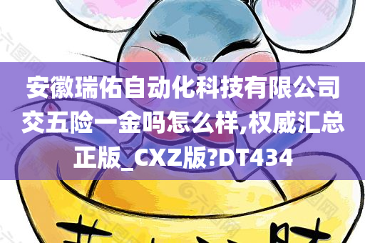 安徽瑞佑自动化科技有限公司交五险一金吗怎么样,权威汇总正版_CXZ版?DT434