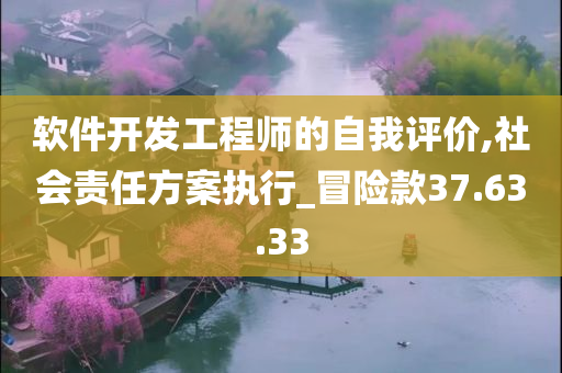 软件开发工程师的自我评价,社会责任方案执行_冒险款37.63.33