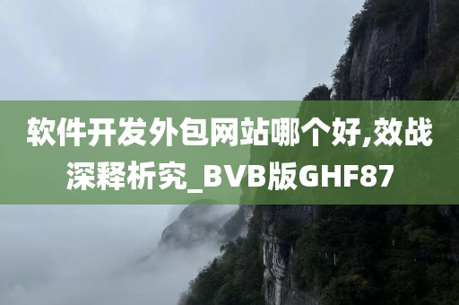 软件开发外包网站哪个好,效战深释析究_BVB版GHF87