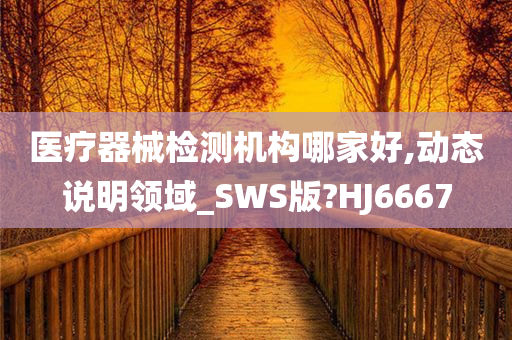 医疗器械检测机构哪家好,动态说明领域_SWS版?HJ6667