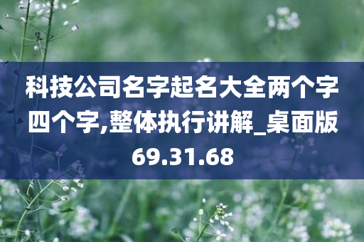 科技公司名字起名大全两个字四个字,整体执行讲解_桌面版69.31.68