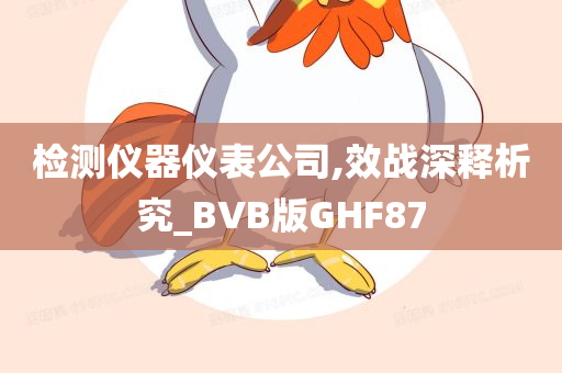 检测仪器仪表公司,效战深释析究_BVB版GHF87